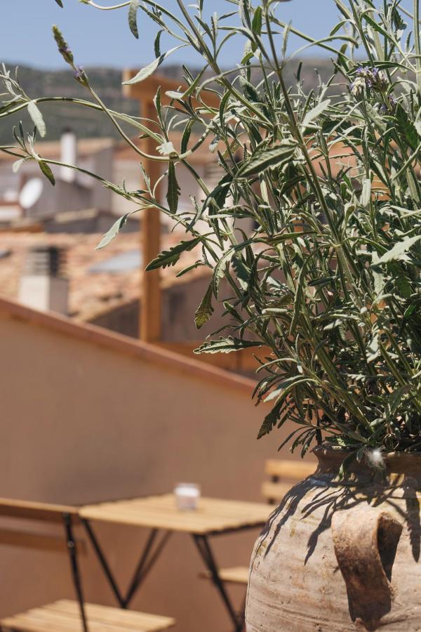 Apartaments La Rambla - Licorella - 4 Persones Cornudella de Montsant Luaran gambar