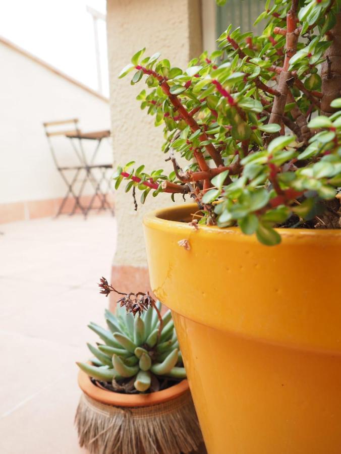 Apartaments La Rambla - Licorella - 4 Persones Cornudella de Montsant Luaran gambar